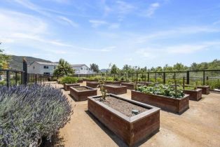 Single Family Residence, 35252 Valencia, Fallbrook, CA 92028 - 38