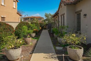 Single Family Residence, 8784 Avenida Mirador, Rancho Santa Fe, CA 92067 - 37