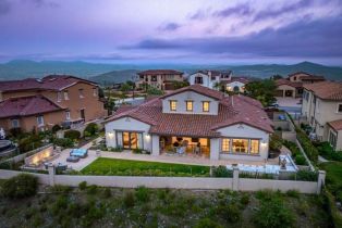 Single Family Residence, 8784 Avenida Mirador, Rancho Santa Fe, CA 92067 - 4