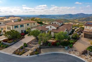 Single Family Residence, 8784 Avenida Mirador, Rancho Santa Fe, CA 92067 - 41
