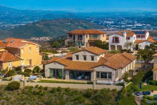 Single Family Residence, 8784 Avenida Mirador, Rancho Santa Fe, CA 92067 - 46
