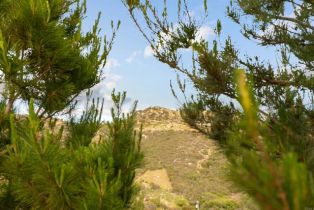 Single Family Residence, 2389 Eric Road, Fallbrook, CA 92028 - 52