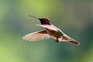 Single Family Residence, 2021 Willow Glen Road, Fallbrook, CA 92028 - 33