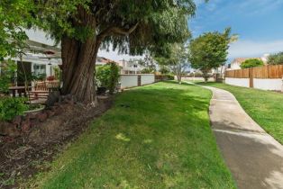 Single Family Residence, 816 Caminito Azul, Carlsbad, CA 92011 - 28