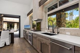 Single Family Residence, 1240 Berryman Canyon, Encinitas, CA 92024 - 12