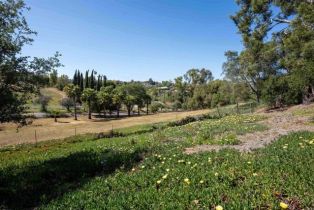 Single Family Residence, 5221 Olive Hill rd, Fallbrook, CA 92028 - 25