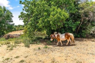 Single Family Residence, 2163 Gracey ln, Fallbrook, CA 92028 - 42