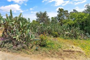Single Family Residence, 2163 Gracey ln, Fallbrook, CA 92028 - 9