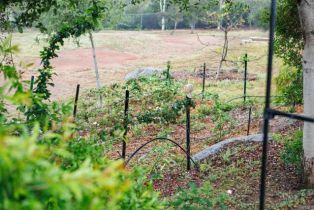 Single Family Residence, 15519 Villa Sierra, Valley Center, CA 92082 - 33