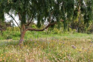 Single Family Residence, 5306 Linea Del Cielo, Rancho Santa Fe, CA 92067 - 49