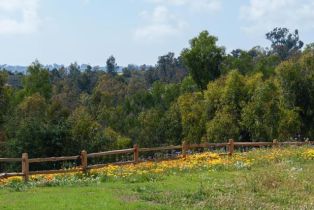 Single Family Residence, 5306 Linea Del Cielo, Rancho Santa Fe, CA 92067 - 52