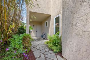 Single Family Residence, 1707 Willowhaven rd, Encinitas, CA 92024 - 40