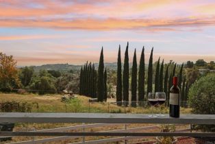 Single Family Residence, 3631 Alta Vista dr, Fallbrook, CA 92028 - 38