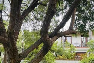 Single Family Residence, 7401 Luna De Oro, Rancho Santa Fe, CA 92067 - 58