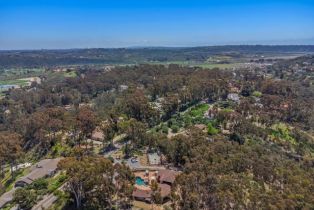 Single Family Residence, 15390 Las Planideras, Rancho Santa Fe, CA 92067 - 29