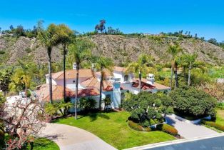 Single Family Residence, 6039 Calle Camposeco, Rancho Santa Fe, CA 92067 - 38