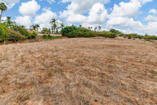 , 18174 Via Ascenso, Rancho Santa Fe, CA 92067 - 11