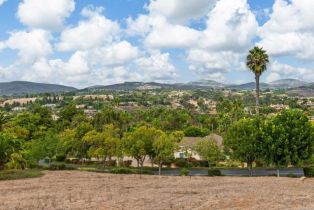 , 18174 Via Ascenso, Rancho Santa Fe, CA 92067 - 13