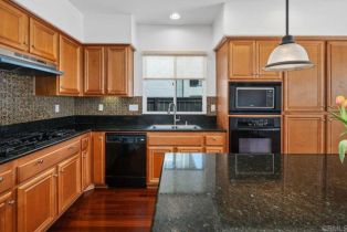 Single Family Residence, 4729 Crater Rim rd, Carlsbad, CA 92010 - 13