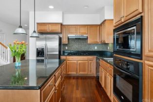 Single Family Residence, 4729 Crater Rim rd, Carlsbad, CA 92010 - 15