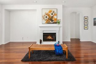 Single Family Residence, 4729 Crater Rim rd, Carlsbad, CA 92010 - 16