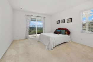 Single Family Residence, 4729 Crater Rim rd, Carlsbad, CA 92010 - 19