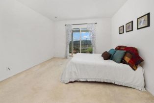 Single Family Residence, 4729 Crater Rim rd, Carlsbad, CA 92010 - 20