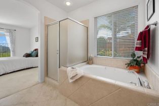 Single Family Residence, 4729 Crater Rim rd, Carlsbad, CA 92010 - 23