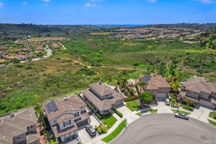 Single Family Residence, 4729 Crater Rim rd, Carlsbad, CA 92010 - 38