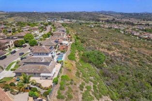 Single Family Residence, 4729 Crater Rim rd, Carlsbad, CA 92010 - 43