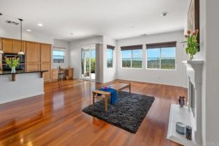 Single Family Residence, 4729 Crater Rim rd, Carlsbad, CA 92010 - 8