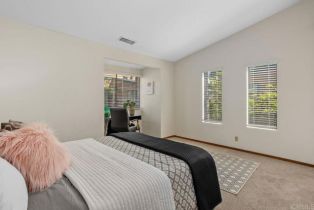 Condominium, 801 Kalpati cir, Carlsbad, CA 92008 - 19