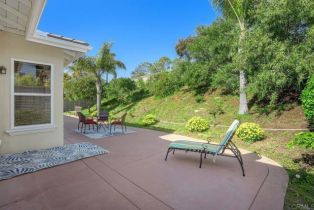 Single Family Residence, 435 Sandalwood ct, Encinitas, CA 92024 - 35