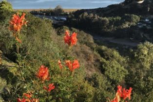 Single Family Residence, 1729 Gascony rd, Encinitas, CA 92024 - 23