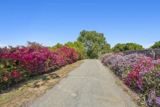 Single Family Residence, 3016 Alta Vista dr, Fallbrook, CA 92028 - 3