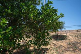 , 11945 Betsworth rd, Valley Center, CA 92082 - 30