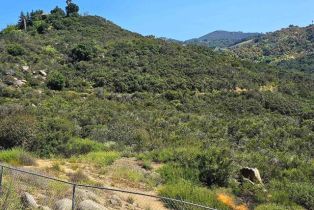 , 11945 Betsworth rd, Valley Center, CA 92082 - 8