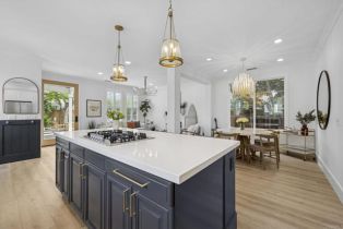 Single Family Residence, 613 Saltgrass ave, Carlsbad, CA 92011 - 16