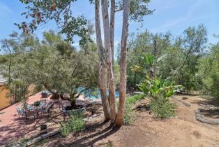 Single Family Residence, 1575 Larson ln, Fallbrook, CA 92028 - 50