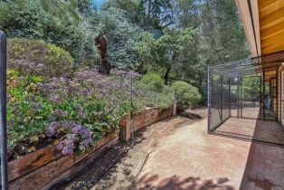 Single Family Residence, 1575 Larson ln, Fallbrook, CA 92028 - 54