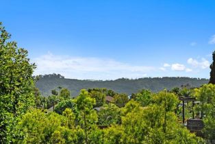 Single Family Residence, 2345 Levante st, Carlsbad, CA 92009 - 2