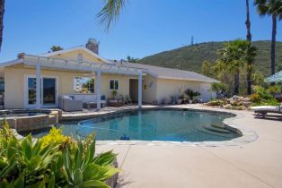 Single Family Residence, 29730 Red Mountain rd, Valley Center, CA 92082 - 21