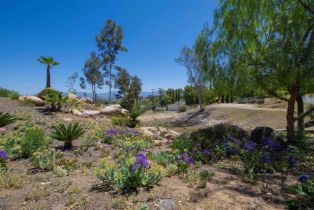 Single Family Residence, 29730 Red Mountain rd, Valley Center, CA 92082 - 31