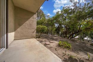 Condominium, 7753 Caminito Encanto, Carlsbad, CA 92009 - 18