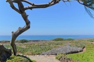 Single Family Residence, 6496 Friendly pl, Carlsbad, CA 92011 - 42