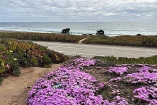 Single Family Residence, 6496 Friendly pl, Carlsbad, CA 92011 - 43