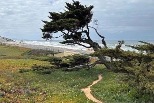 Single Family Residence, 6496 Friendly pl, Carlsbad, CA 92011 - 45