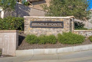 Single Family Residence, 253 Oberlander way, Fallbrook, CA 92028 - 35