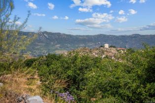 Single Family Residence, 2620 Mar Vinga, Fallbrook, CA 92028 - 41