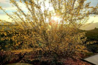 Single Family Residence, 2620 Mar Vinga, Fallbrook, CA 92028 - 72